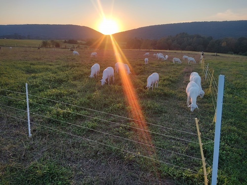 Gallery Image 474006168_122155064108324967_8350513125107335562_n.jpg