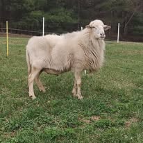 Gallery Image 489042286_122169865556324967_8318653439364622021_n.jpg