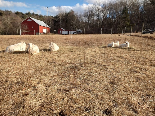 Gallery Image 618260389_122212090016324967_4416031171589747627_n.jpg