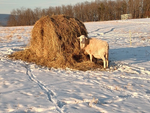 Gallery Image 634324190_122215237808324967_6630542629698087203_n.jpg