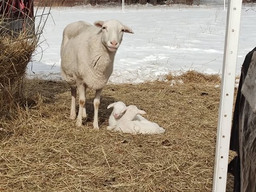 Gallery Image barton%201.jpg