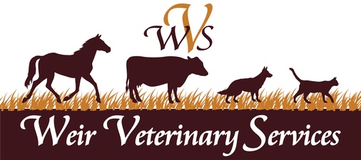 Weir Veterinary Clinic