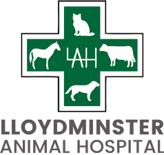 Lloydminster Animal Hospital
