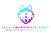 Bay’s Almost Home Pet Resort