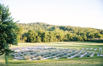 La Grange Lavender Co.