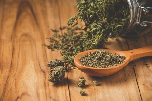 Gallery Image marijuana-plants-that-are-legally-planted-wooden-floors-1024x683.jpg