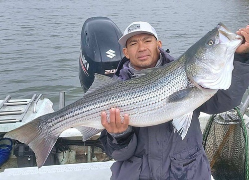 Gallery Image hookedOnFishing.jpg Gallery Image hookedOnFishing.jpg