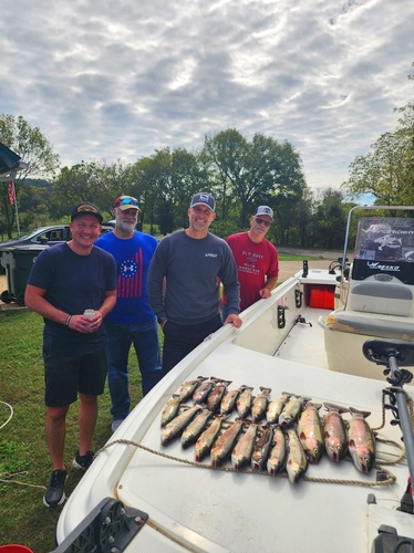 Gallery Image 564258750_1402881575177833_6286087634913659775_n.jpg