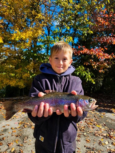 Gallery Image 571998147_1418384026960921_6550742585184852853_n.jpg