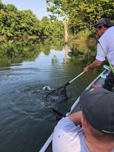 Gallery Image grabbingFishWNet.jpeg