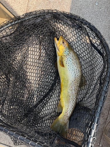 Gallery Image 531296874_122140317326779848_1436633933303315699_n.jpg