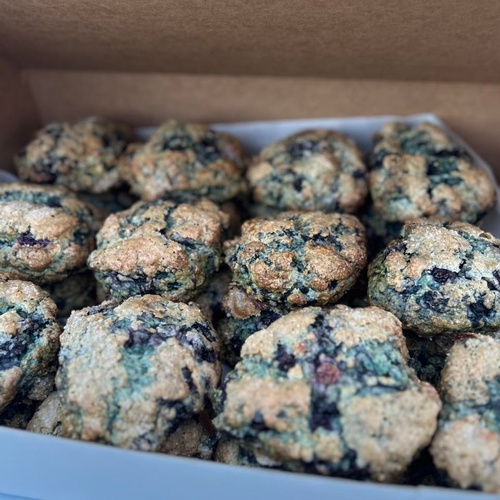 Gallery Image 492087663_1306486671196708_963203915623256868_n.jpg