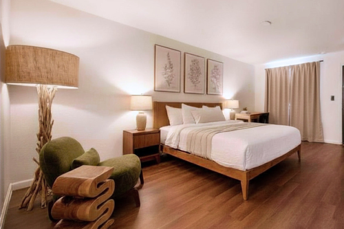 Gallery Image Forest%20KING.png