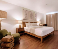 Forest Springs Resort