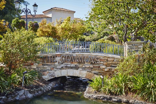 Gallery Image Commons_Detail_2.jpg