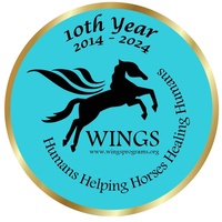 WINGS PROGRAMS, INC.