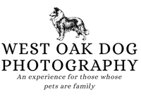 West Oak Dog Photography