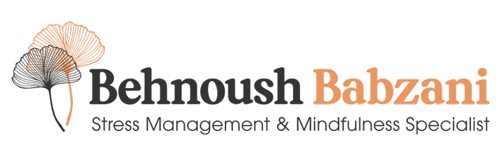 Behnoush Babzani LLC