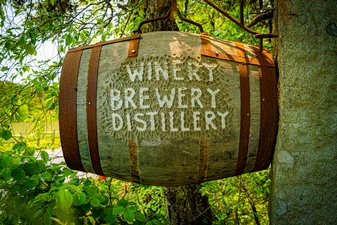 Nantucket Vineyard