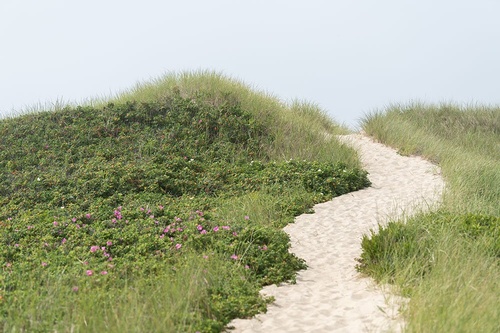 Gallery Image Nantucket-Beach_290725-091710.jpg Gallery Image Nantucket-Beach_290725-091710.jpg