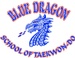 Blue Dragon TKD