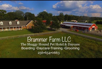 Brammer Farms LLC: The Shaggy Hound Pet Hotel & Daycare