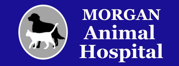 Morgan Animal Hospital, P.C.