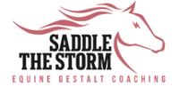 Saddle the Storm, LLC 