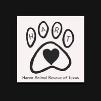 Haven Animal Rescue of Texas (H.A.R.T.)