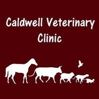 Caldwell Veterinary Clinic PLLC