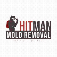 Hitman Mold Removal