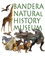 Bandera Natural History Museum