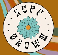 Zeff Wellness