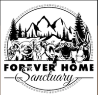 Forever Home Sanctuary