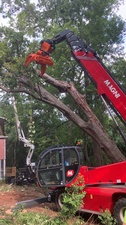 E. Archer's Tree Service