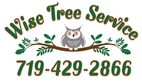 Wise Tree Service 