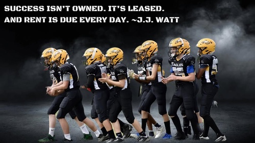 Gallery Image DANA%20Eagles%203.jpg