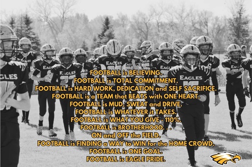 Gallery Image Dana%20eagles.jpg