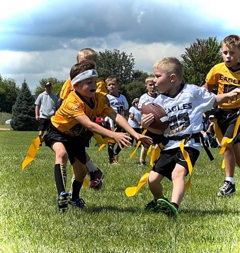 Gallery Image Flag%207.jpg