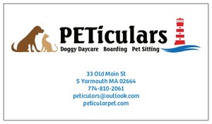 Peticulars Peticulars