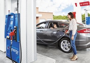 Cape Cod Farm III, LLC