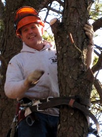 Eager Beaver Tree Service