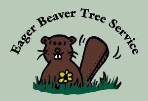 Eager Beaver Tree Service