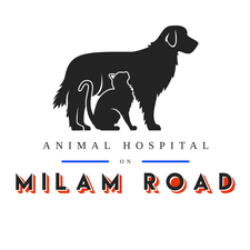 Animal Hospital on Milam Road