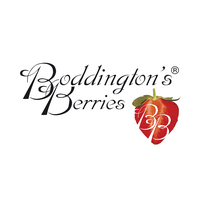 Boddington's Berries