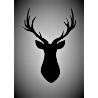 Celtic Stag Consulting
