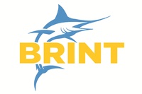 Brint, Inc.