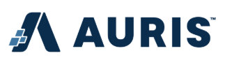 Auris 