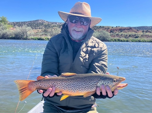 Gallery Image IMG_0177.jpg