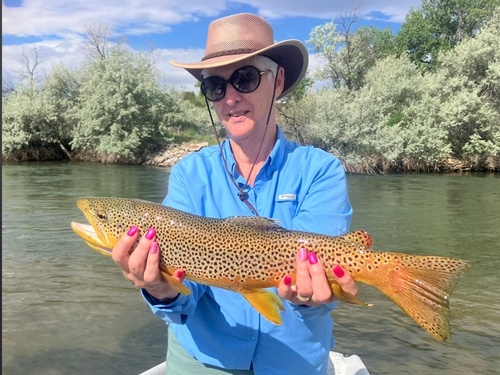 Gallery Image IMG_0178.jpg